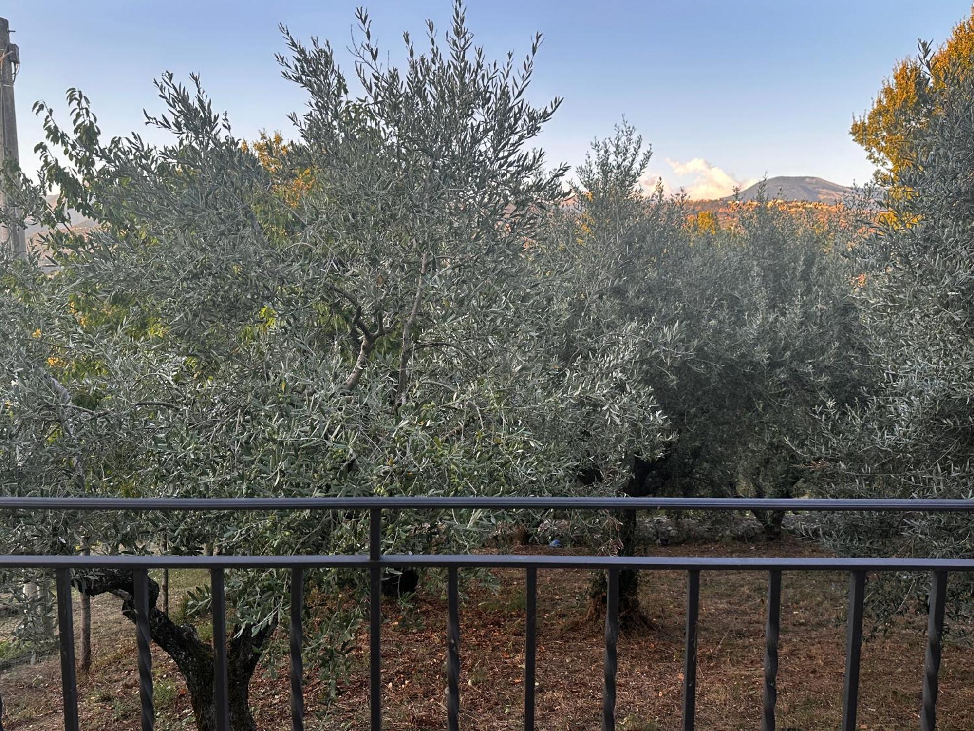 Appartement La Casa In Collina à Veroli Extérieur photo